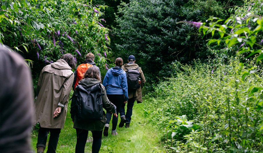 デジタル社会に逆行する、英国で話題の“フォレイジング・ウォーク”とは？