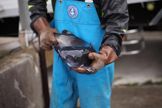 日本の魅力 発見プロジェクト Vol 5 茨城県 霞ヶ浦 筑波山地域 地域の魅力は 点と点が結ばれた時に初めて明らかになる The Cuisine Press