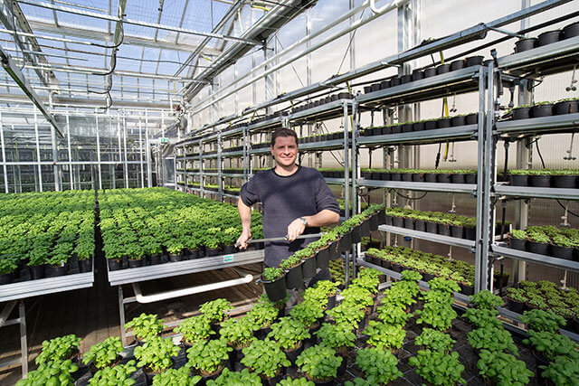 世界のアーバン ファーミング最新事情 Vol 3 Berlin 都会の真ん中で漁業と農業を一体化 アクアポニックス最新形 The Cuisine Press