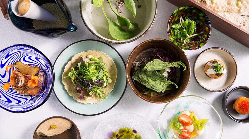 “食×SDGs” ウェビナー開催レポート #3「プラントベース」で描くこれからの食
-植物と動物と人間の共存についての模索と提言-
