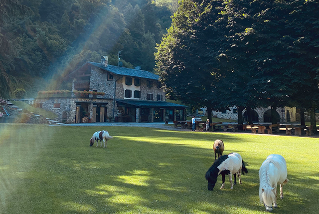 パオロ マッソブリオのイタリア州旨いもの案内 Vol 52 ロンバルディア州ベルガモのチーズ生産を基盤にしたアグリツーリズモ経営者 The Cuisine Press Web料理通信