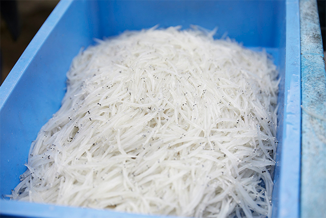 森枝幹シェフと巡る 東京から１時間圏内 茨城の魅力発見ツアー 後編 霞ヶ浦 大洗 常陸太田 大子 日立 The Cuisine Press Press