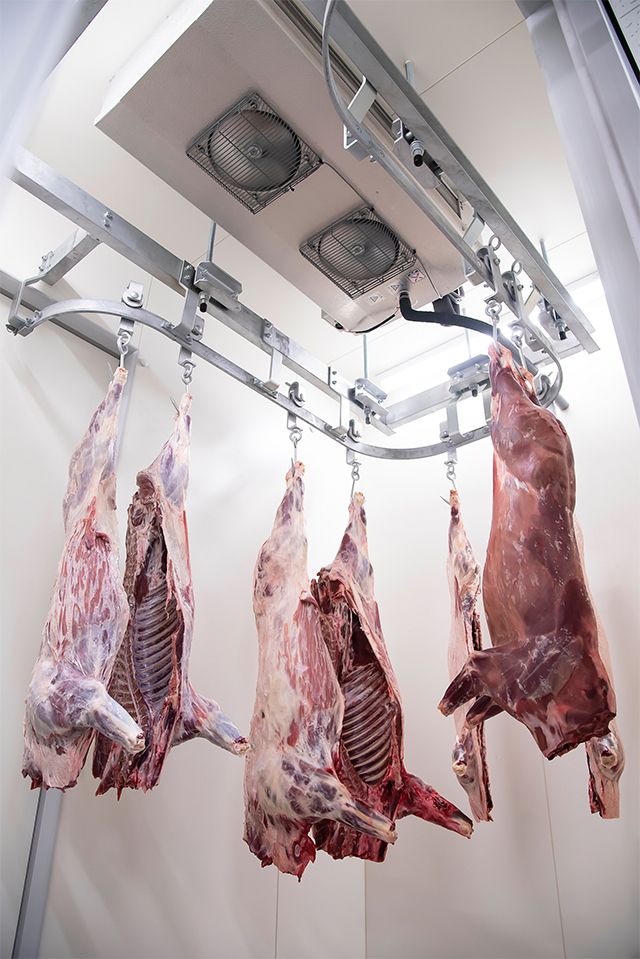 大地からの声 27 本当の地域活性とは何か おおち山くじら 森田朱音さん The Cuisine Press