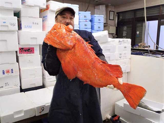 大地からの声 ７ 信念を持って進む者が生き残る 塩谷魚店 塩谷孝さん The Cuisine Press