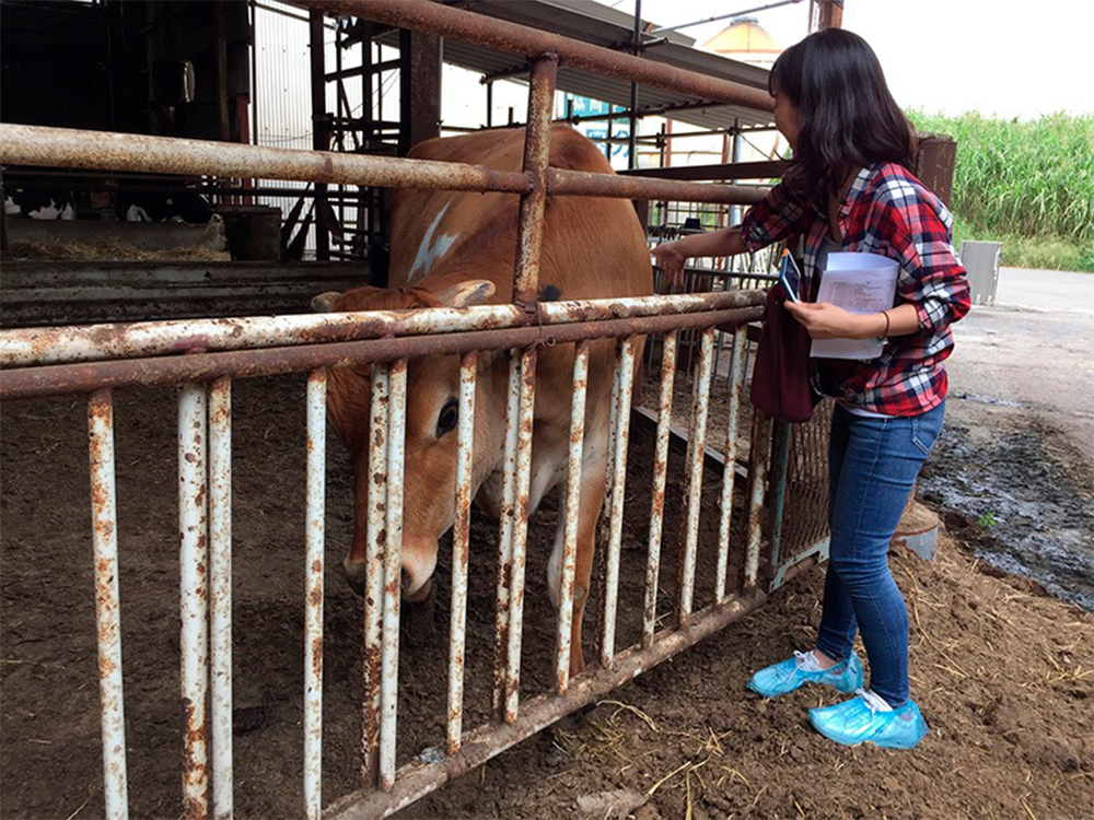 国分牧場にて。牛が愛しくてたまらない荻澤さん。