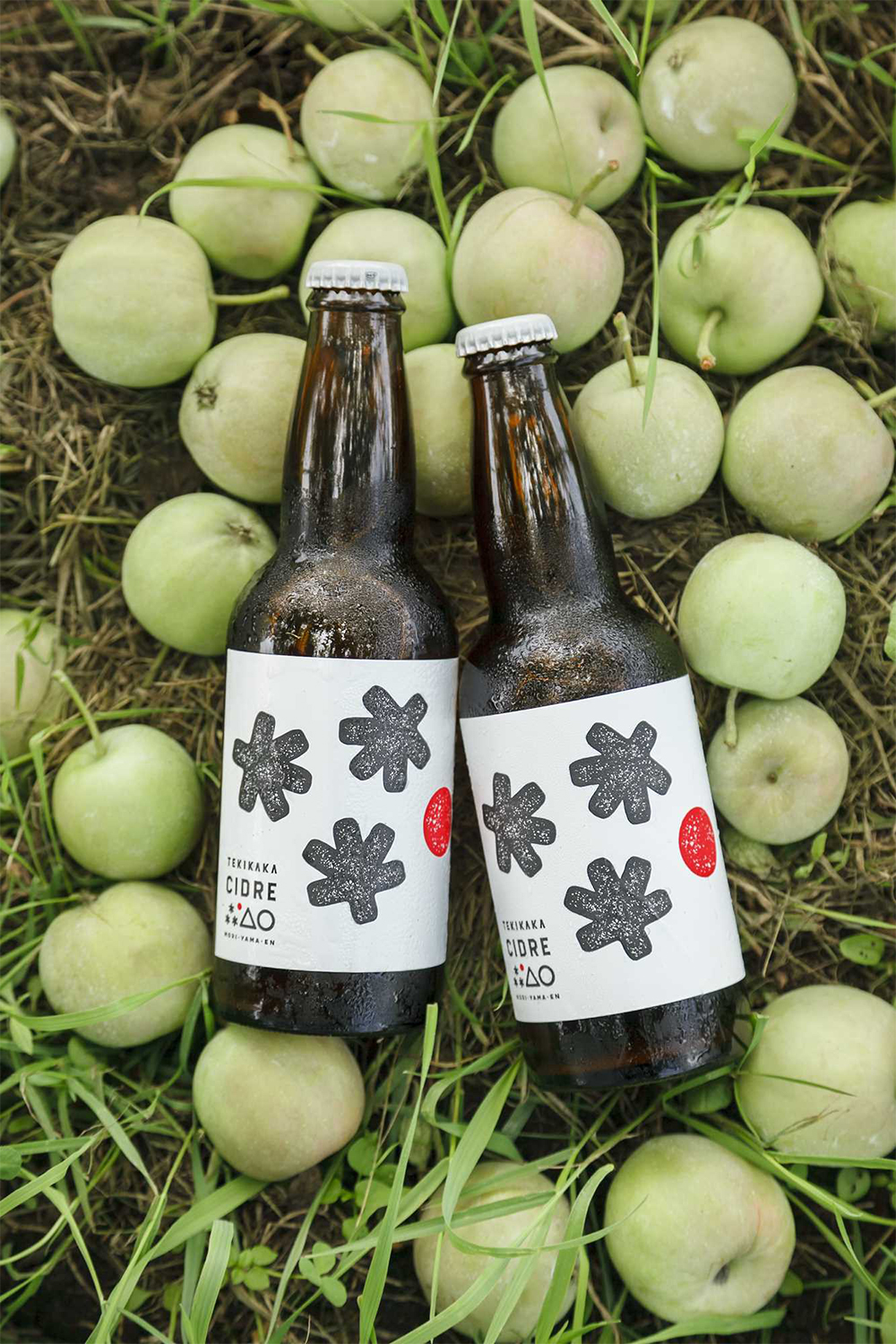 未熟リンゴの有効活用から生まれた洗練の味　未来に届けたい日本の食材 ＃09シードル