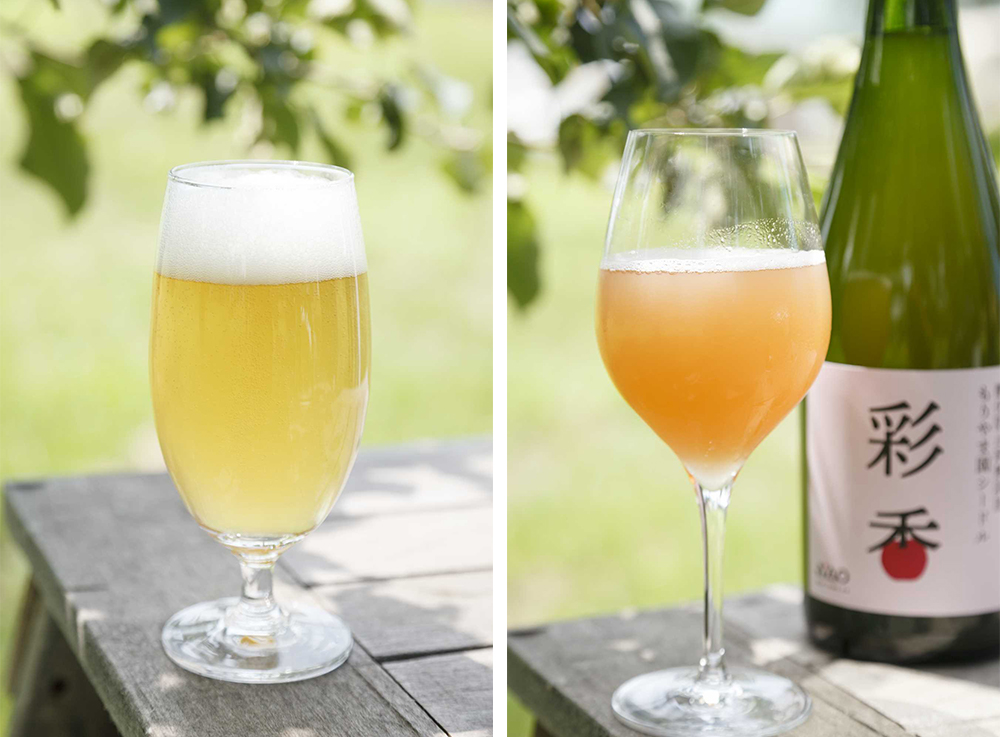 （写真左）ビール酵母で醸したシードルはポップなラベルも印象的（ボトルは記事冒頭写真）。 （写真右）自然酵母で醸した「彩香」はほんのりピンク。泡立ちがきめ細かく、味わいもナチュラル。ドラフト用のタンクでも卸している。