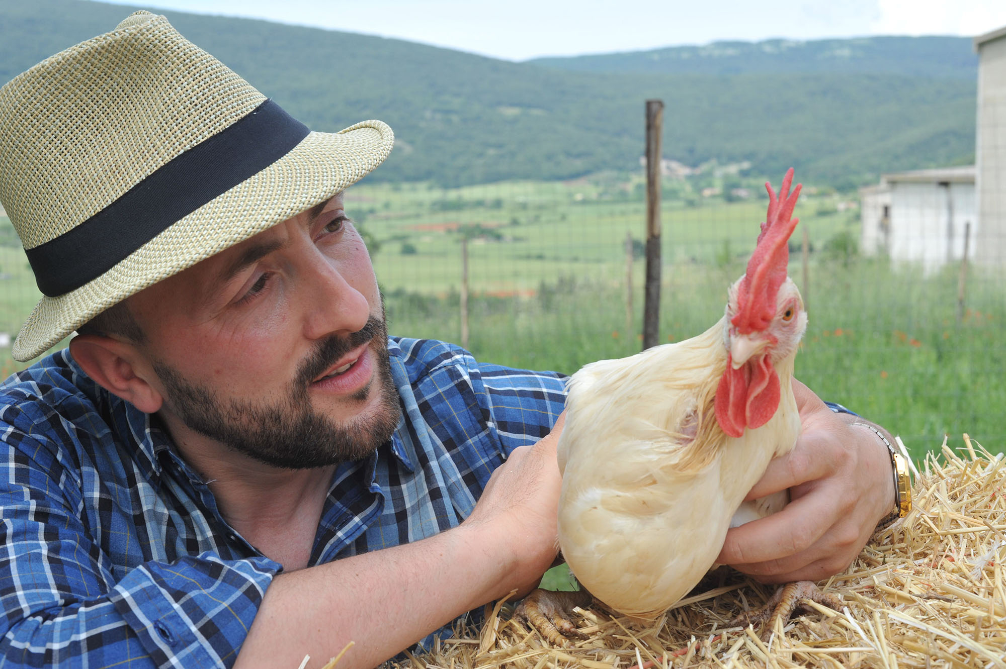 パオロ・マッソブリオのイタリア20州旨いもの案内 vol.57　プーリア州ガルガーノの若手養鶏農家
