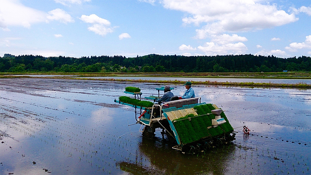 新潟県栃尾での米作り研修の様子。田植え機を操縦しているところ。稲を真っ直ぐ植えるのは、一見単純なようでいて、実は乗ってみるとそうそう楽ではないのだという。