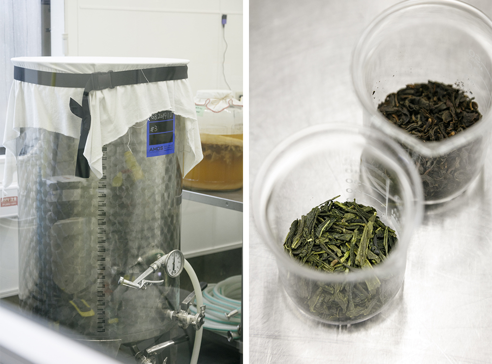 （写真左）発酵にはドイツ製のワイン用タンクを使用。布をかぶせ、開放した状態で１～２週間ほど発酵させる。 （写真右）国産の緑茶は海外から視察に来たコンブチャ関係者から、よく製造元を聞かれるそう。