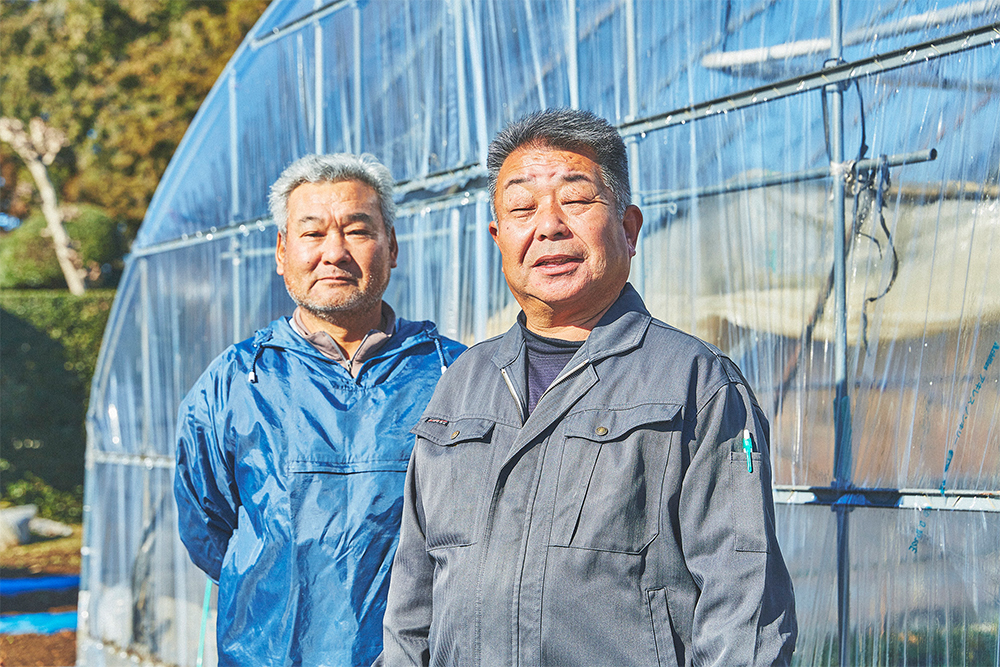 「拓実の会」の代表を務める浜野博士さん（右）と、石川明さん(左)。ともに特別栽培に取り組み、よりおいしく安全なイチゴ作りを目指す。