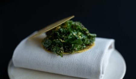 海の森を守るため“海藻の新しい食文化”をテストキッチンから発信
