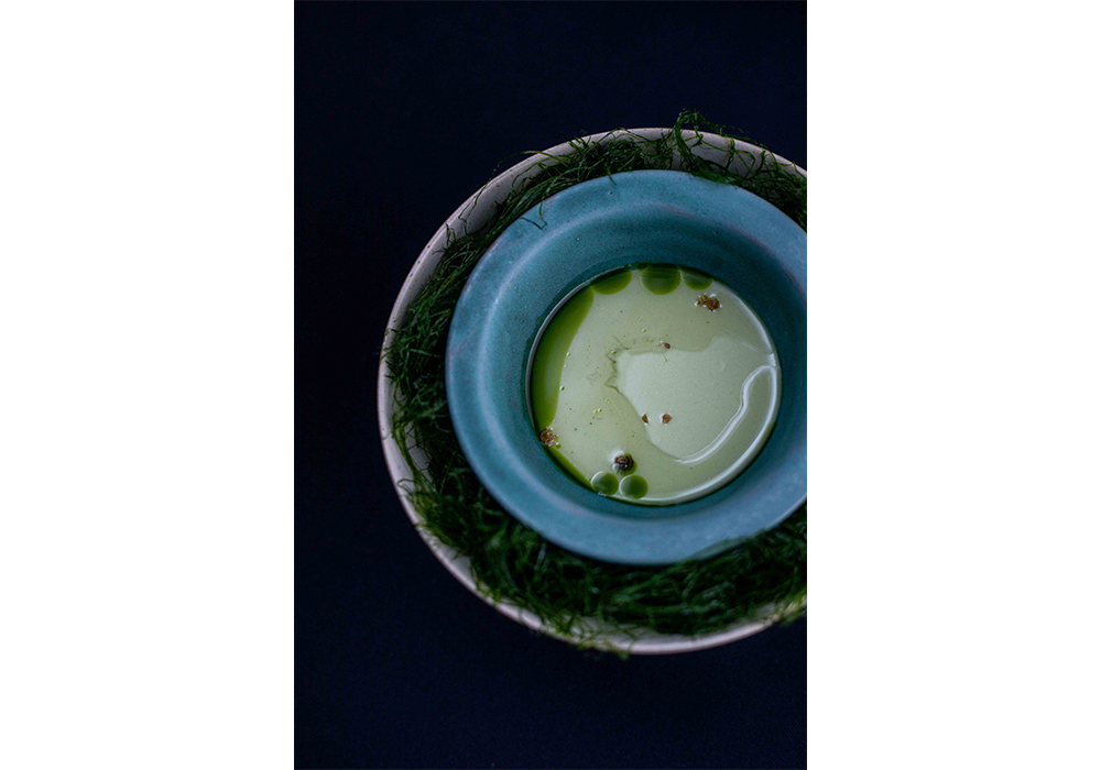 「作りたての青のり豆腐、アオサのオイル、カシスの新芽とマリーゴールド」 豆乳とアオノリを合わせて豆腐を作り、アオサ風味のオイルとカシスの新芽にマリーゴールド風味のシロップをかけて。 photo by Nathalie Cantacuzino