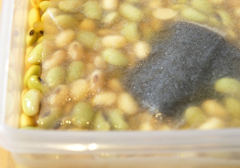 [７]冷蔵庫で保存する タッパーに入れ、豆がだしから顔を出さないよう、クッキングペーパーで覆い、蓋をして冷蔵庫へ。 POINT:一晩おくと、さらに豆がだしを吸う。３～４日で食べきる。