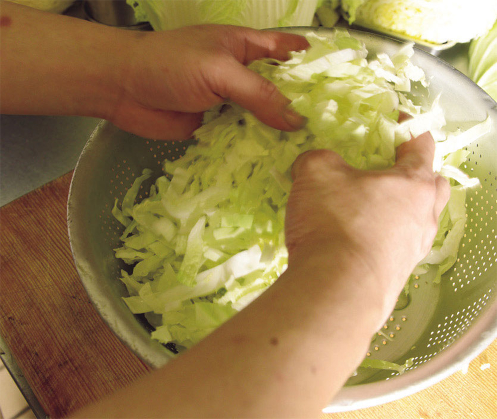 [４]白菜とキャベツを合わせる ボウルに白菜とキャベツを合わせて混ぜる。白菜とキャベツの量は２：１が目安。モヤシは水洗いしておく。