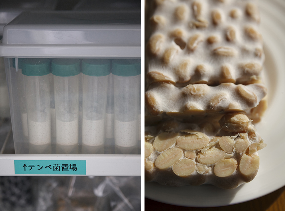 （左写真）冷凍保存されているテンペ菌。日本で唯一テンペ菌を販売する秋田の今野商店から取り寄せる。 （右写真）テンペは７年もの試行錯誤を経て商品化に至った。生テンペは白カビと共に大豆の甘味が楽しめ、お菓子のようにもチーズのようにも味わえる。