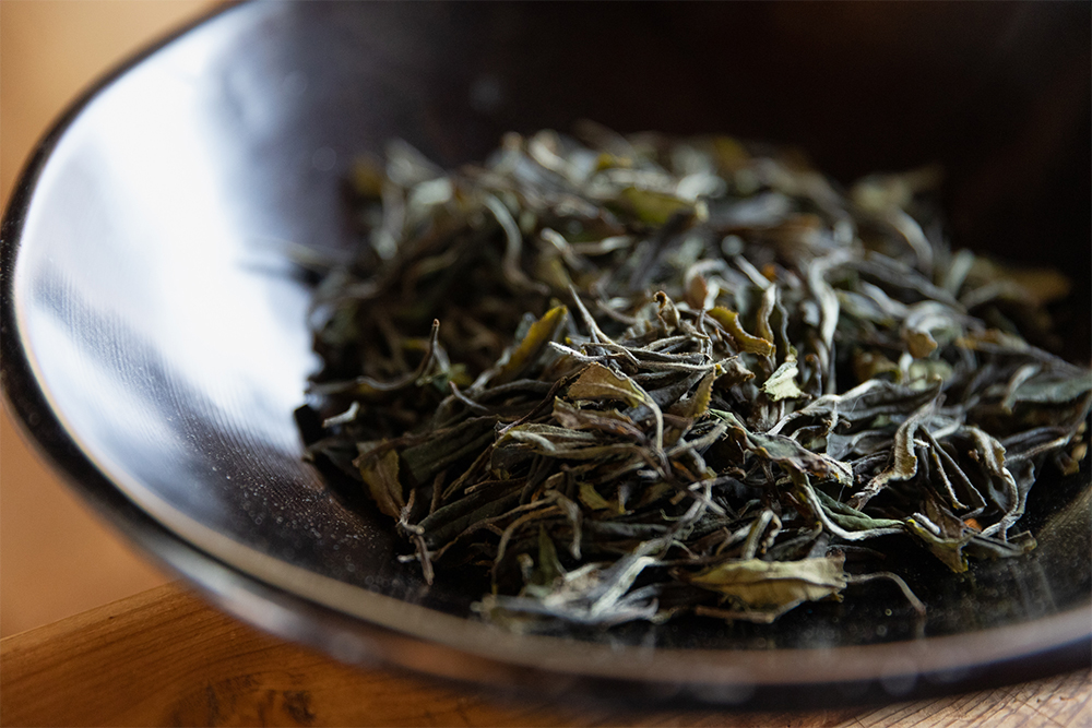 白茶「白露」の茶葉。揉捻（じゅうねん：茶葉を揉むこと）の工程を経ずに仕上げるため、茶葉の形が残る。
