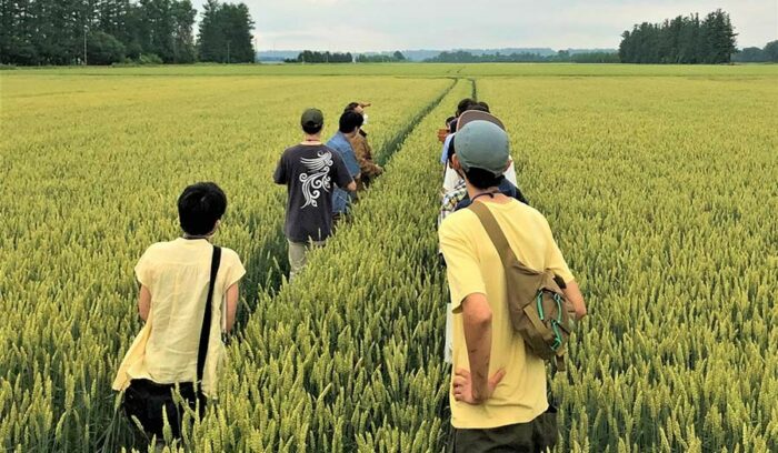 北海道「初夏の小麦畑ツアー」リポート