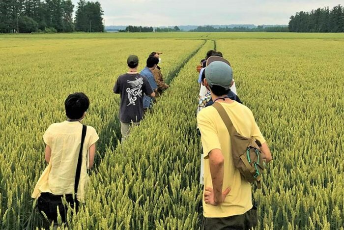 北海道「初夏の小麦畑ツアー」リポート