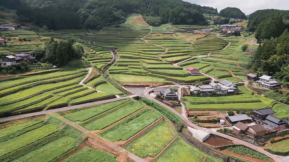 農地には、生物多様性や治水、日本独自の景観など、環境全般を守る機能もある。