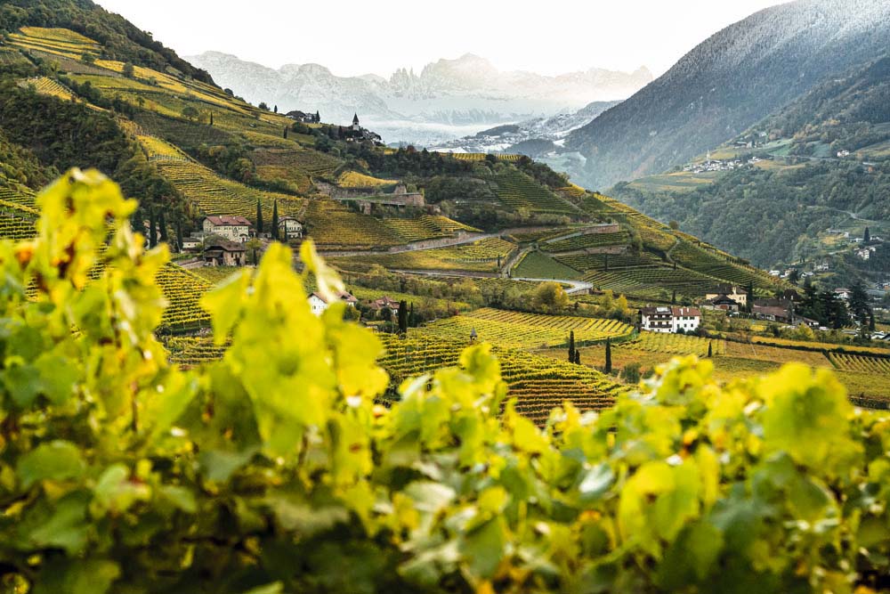 標高200～1000mに連なるブドウ畑。年間300日が晴天。日照時間、降水量ともワイン造りに理想的な気候に恵まれる。©Südtirol Wein- Tiberio Sorvillo
