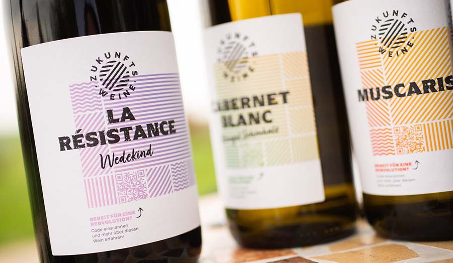 Germany [Reinhessen] カビに強い新しいブドウ品種で造る「未来のワイン」