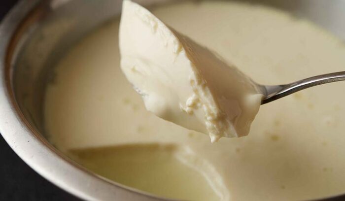 【DIYレシピ16】できたてを味わう至福を。豆乳で「自家製豆腐」に挑戦