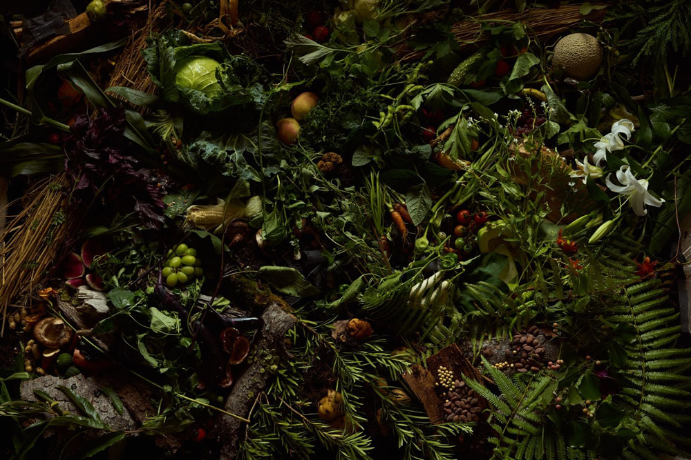 冬夏のメインビジュアルでは、野菜、果物、昆布、豆、土、樹木や茸など、茶味から広がる香りやテクスチャーを視覚化した。