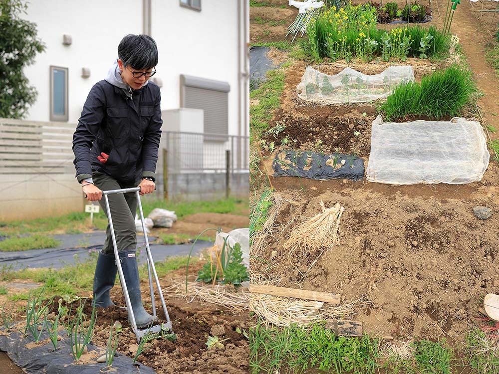 畑を「福畑」と命名。福永麻子さんの畑仕事２年生