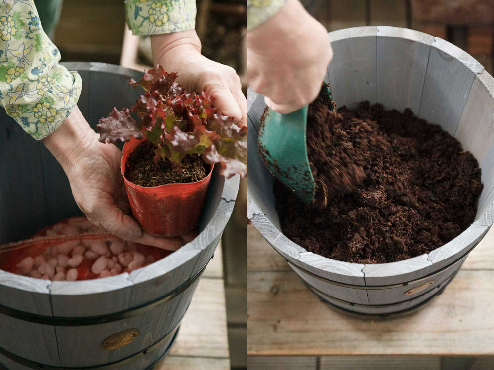 [２]苗ポットの底にあたる高さまで土を入れる ポットの土の表面が鉢の高さにくるよう、実際にポットをあてて目安にする。上ページでつくった土を入れる。