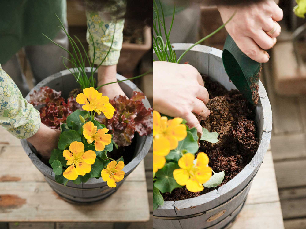 [６]花は外側に傾け、苗とプランターの間に土を入れる 花を傾けることで見た目に美しく、結果よく気を配るようになる。土を入れる際は、外側に向かって根を張れるように。その後中心にも土を入れ、じょうろで水やりを。