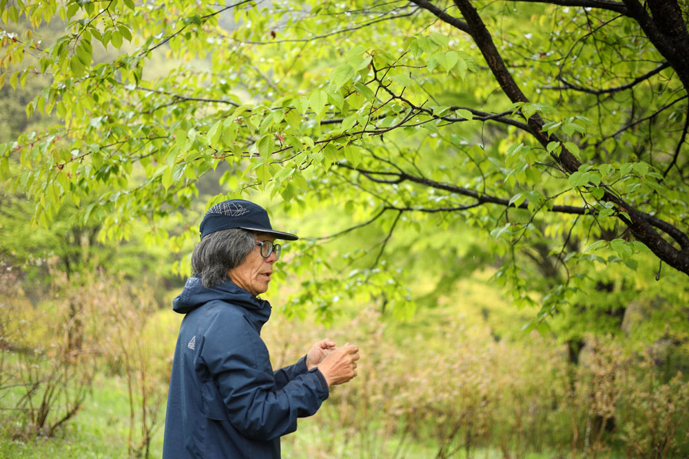 土田酒造の敷地を「日本の昔ながらの生態系が感じ取れる環境にしよう」と成光さんが取り組んでいる。