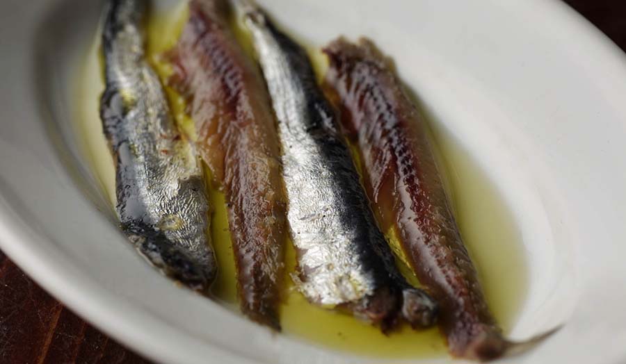 【DIYレシピ20】イワシを丸ごと塩漬け「アンチョビー」 魚醤もできる!