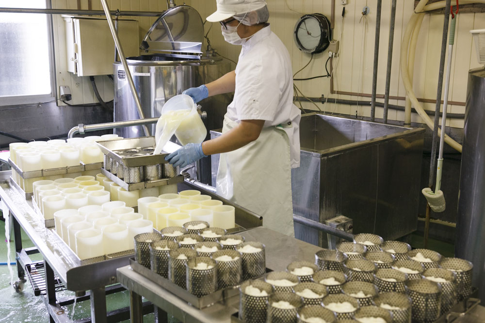弓削牧場の乳製品は低温殺菌乳がベース。チーズ製造の責任者、長男の太郎さんがカマンベールの仕込み中。