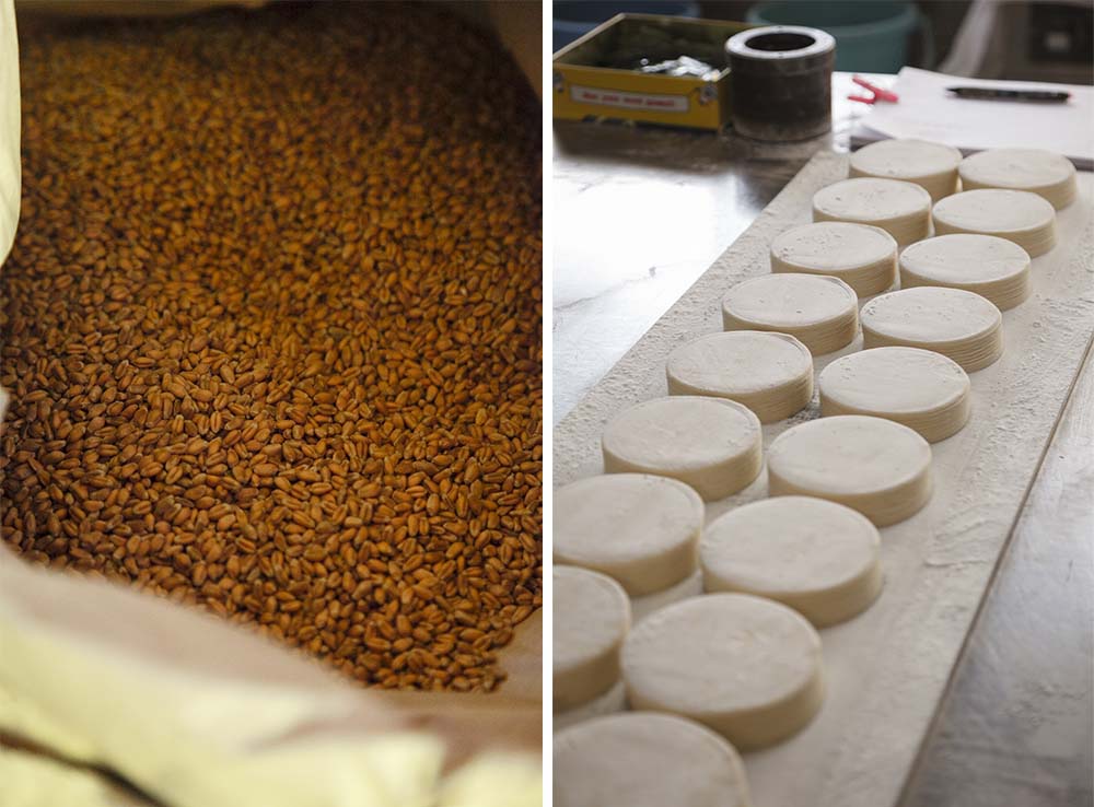 （写真左）小麦はすべて国産。玄麦で管理する。 （写真右）麺と並行するラインでは餃子の皮も製造。