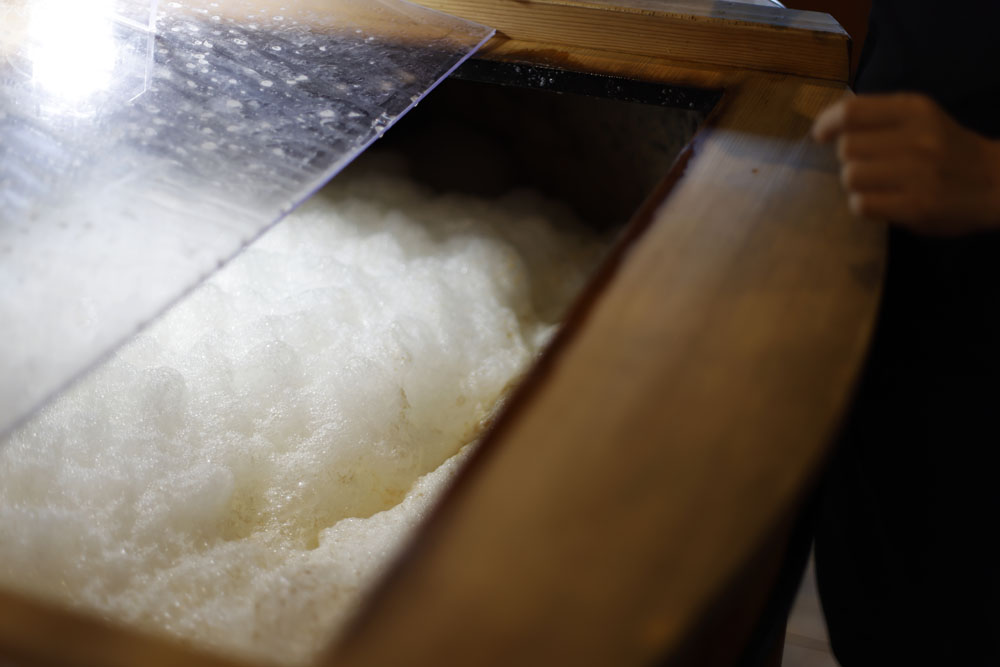 もろみの発酵日数は２～５日。仕込み初日の発酵槽をのぞくと、ご覧のとおり元気に発酵中。