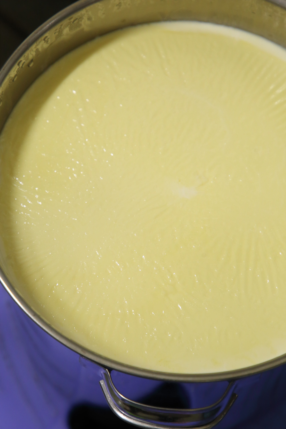 ジャージーの乳は黄色みを帯び、搾りたてなので温かい。