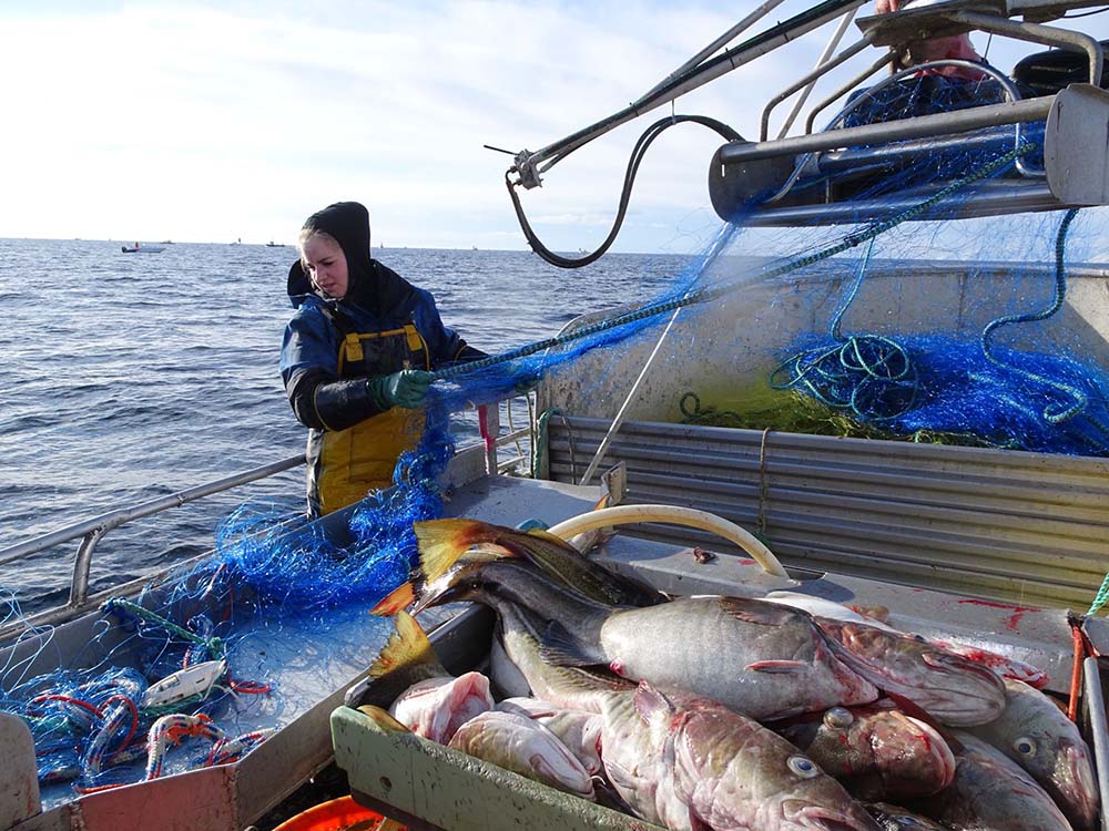 国を挙げて漁業の活性化を推進。ノルウェーでは女性漁師が増加中！
