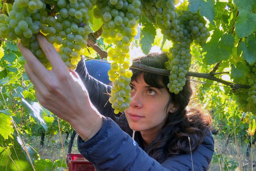 「ゴロザリア・ミラノ2023」で「今年最高のワイン」に選ばれた新生ワイナリー。海抜1000メートルにある集落で驚くほど成熟したワインを造る27歳女性生産者の、信念と実行力の源にあるもの。