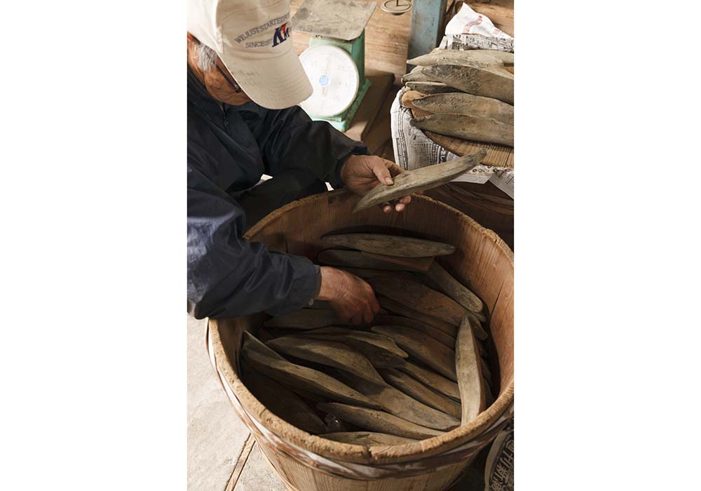 樽の中で発酵熟成させる本枯れ節。本枯れ節は、樽詰めにして保管することでカツオにカビが付着し、そのカビが中の水分を吸い上げる役目を果たす。中の水分がなくなるとカビは生えなくなり、本枯れ節が完成する。製造期間は約４カ月～半年かかる。