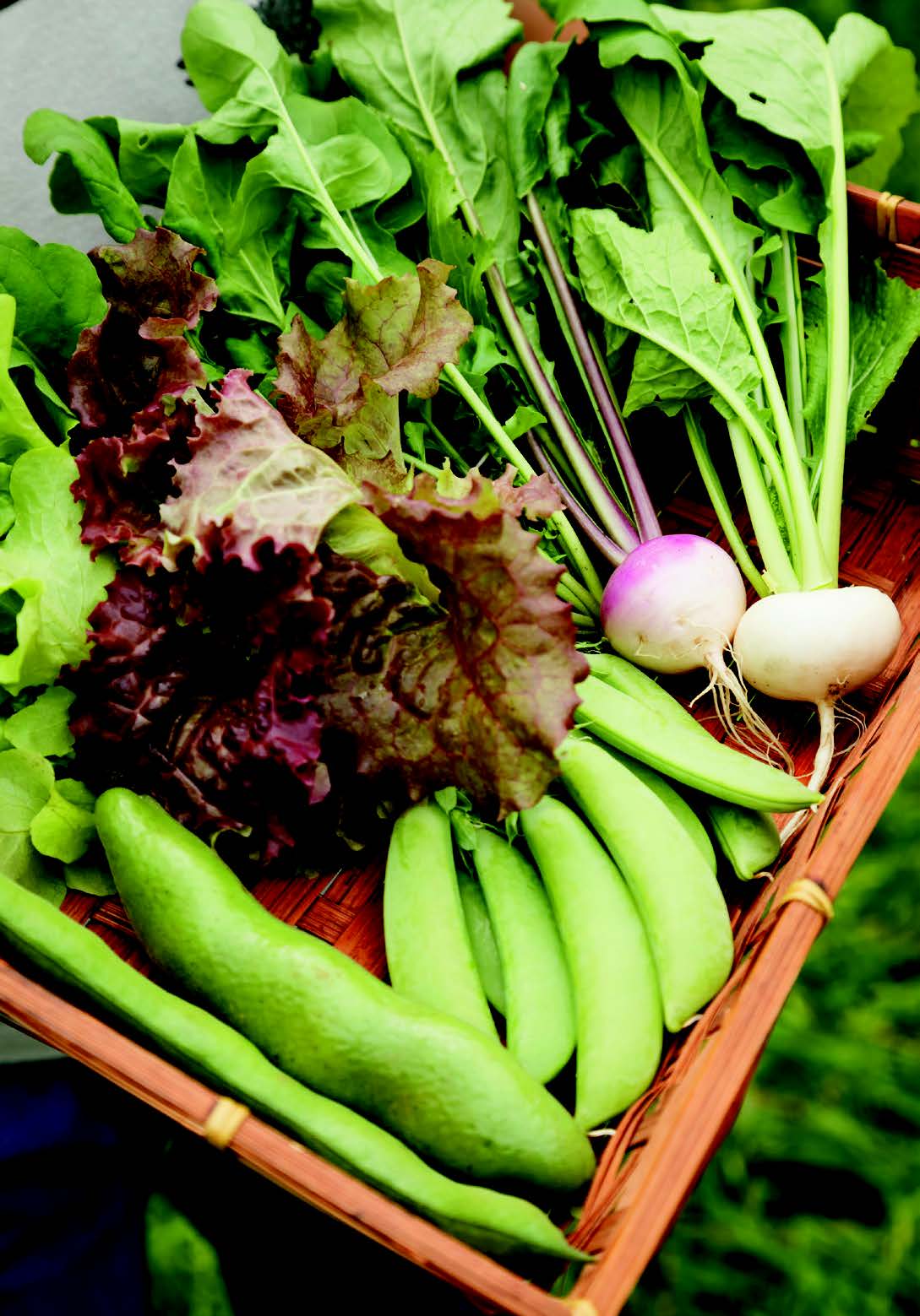 Back to the Land in Tokyo’s Setagaya Ward Organic Produce