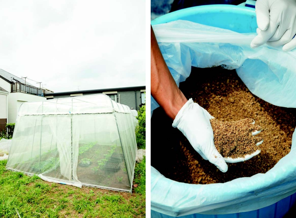 The Sekitas grow seedlings in this house built with home center purchases.