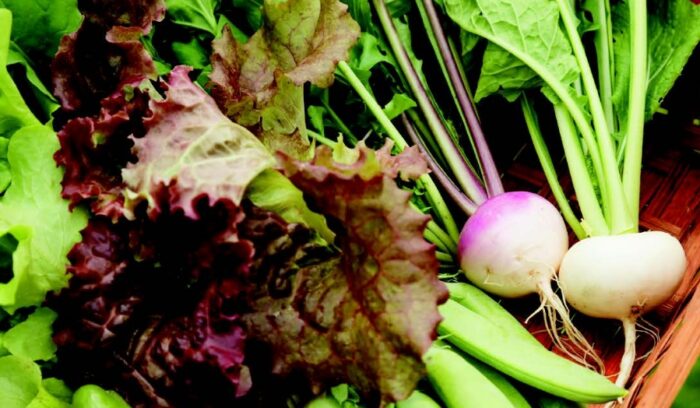 Back to the Land in Tokyo’s Setagaya Ward Organic Produce