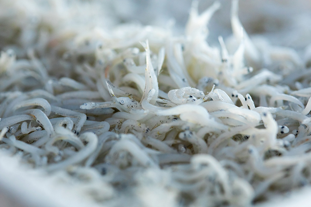 初秋の茨城食材巡り。10人のシェフが生産者から学べること。