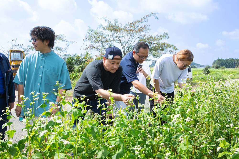 そばはハチやチョウなど昆虫によって受粉するため、半径２キロ圏内には他品種を植えないよう配慮している。