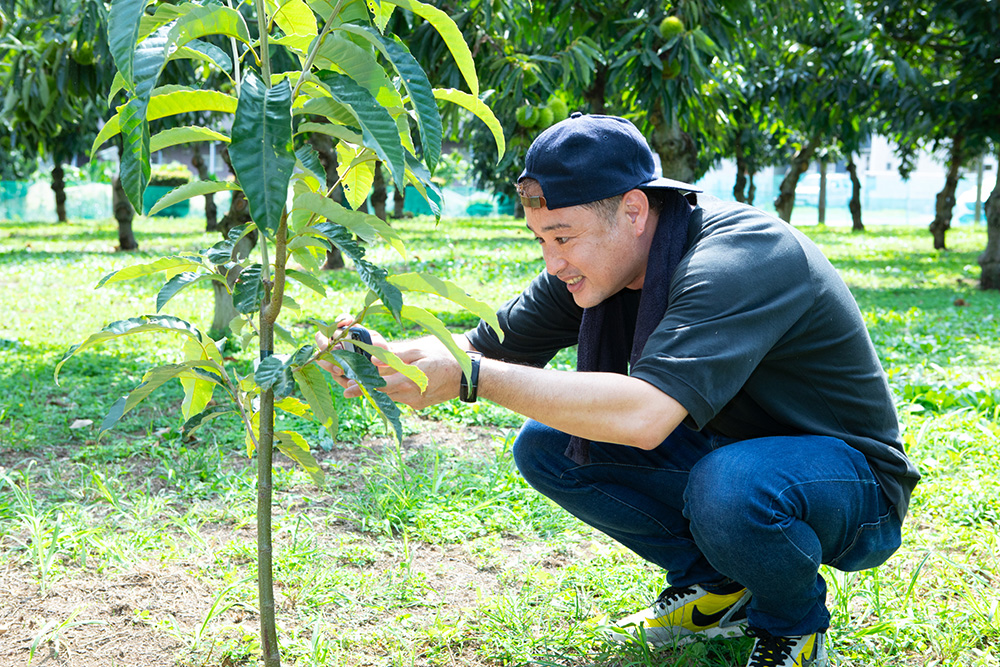 「お付き合いのある近所の練馬の生産者さんに植えてもらおうかな」と栗畑の苗木を確認する岩澤さん。