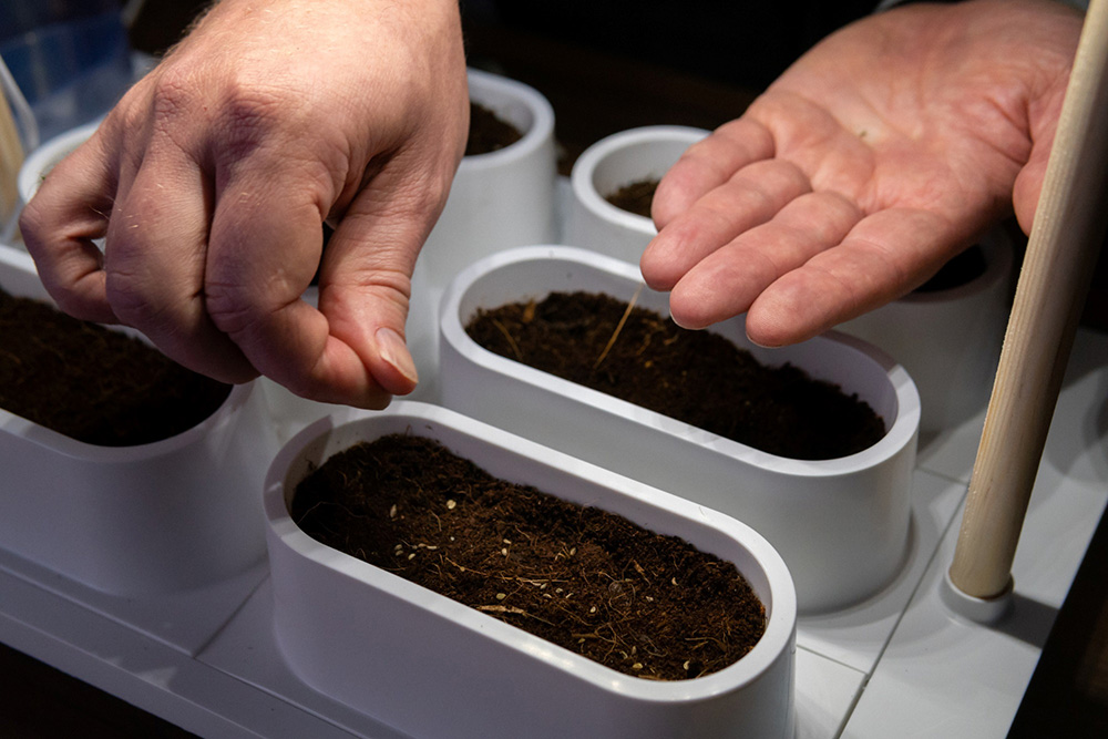 土にはココナッツの生産で余った殻を粉砕したものを使う。ココナッツの殻は根にたっぷりの空気を運び、土のpH値を安定させるため、植物がよく育つのだ。公式HPでは25種類以上の種を販売。人気のある植物は、バジル、コリアンダー、ローズマリー、チャイブ、ミント。