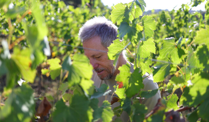 Nel momento della disperazione il vino mi ha guidato e così mi sono ritrovato sotto il sole