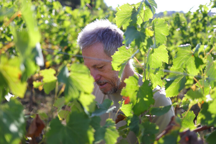 Nel momento della disperazione il vino mi ha guidato e così mi sono ritrovato sotto il sole