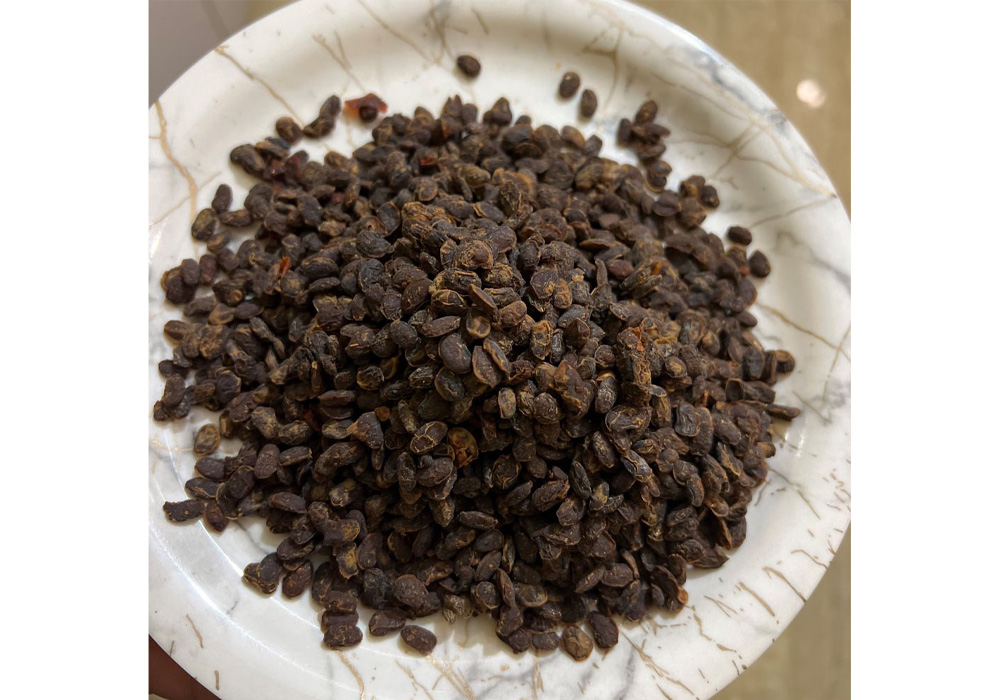 発酵大豆